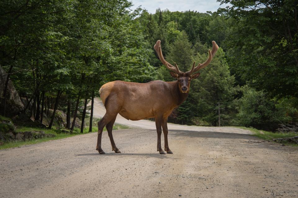 Late cycle: don’t be a ‘deer in the headlights’